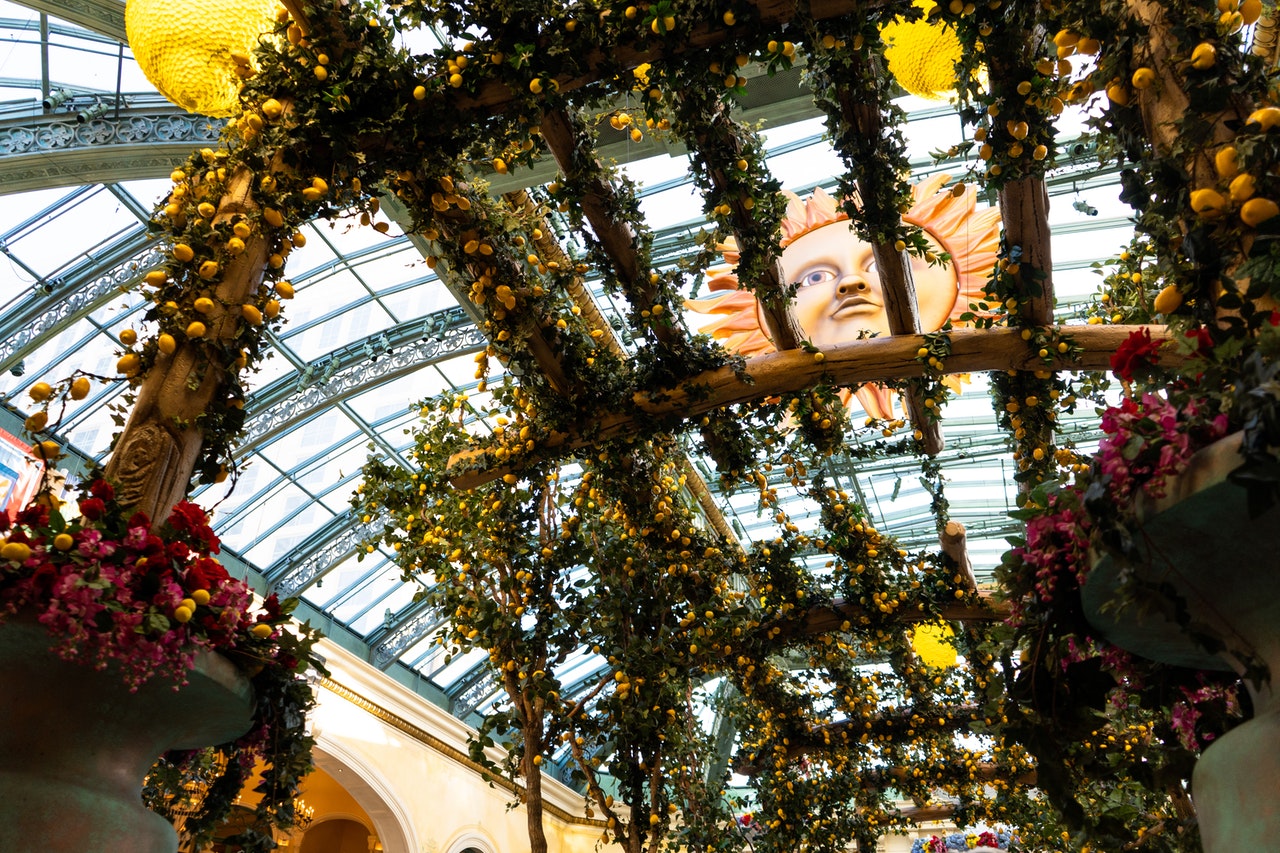 Tips When Buying Pergola Kits for Your Home