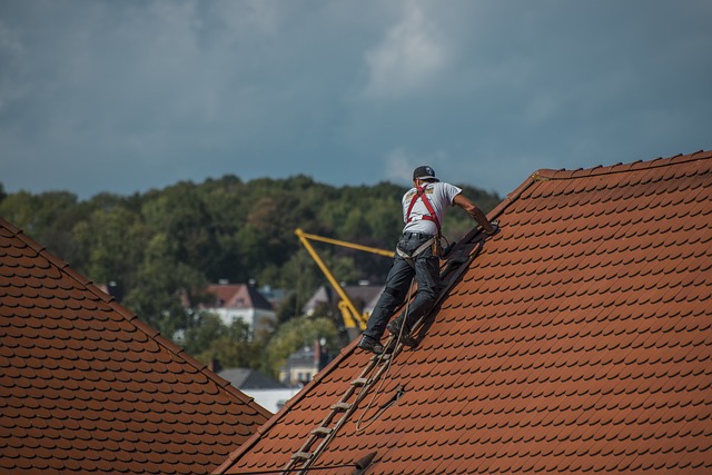 roofing professional