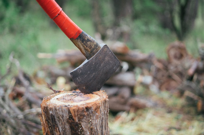 What Factors Influence the Cost of Tree Removal Service?